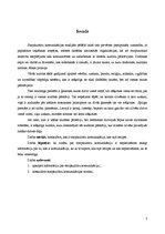 Referāts 'Starpkultūru komunikācija', 2.