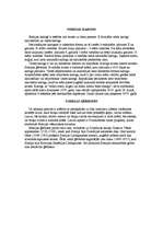 Referāts 'Somija', 18.