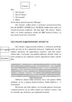 Referāts 'Uzņēmuma iekšējā vide SIA "Vairums"', 6.