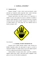 Referāts 'Valsts ieņēmuma dienesta aktivitātes', 21.