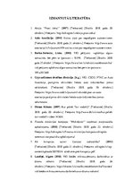 Referāts 'Valsts ieņēmuma dienesta aktivitātes', 29.