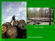 Prezentācija 'Mežu resursi pasaulē un Latvijā', 9.