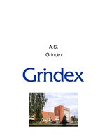 Konspekts 'Farmācijas uzņēmuma AS "Grindex" apraksts', 1.