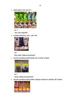 Prakses atskaite 'AS "Drogas"', 40.