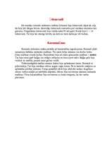 Konspekts 'Romas kultūra', 5.