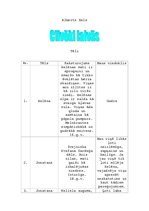 Konspekts 'Alberts Bels ''Cilvēki laivās''', 1.