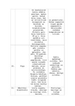 Konspekts 'Alberts Bels ''Cilvēki laivās''', 4.