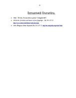 Referāts 'Osho. Brīvība. Drosme būt sev pašam', 13.