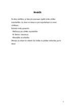 Referāts 'Interakcija - cilvēku mijiedarbība', 3.