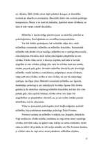 Referāts 'Interakcija - cilvēku mijiedarbība', 17.