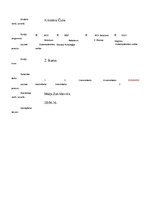 Eseja 'Mana konflikta analīze un risināšanas veidi', 1.