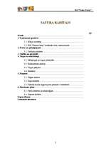 Biznesa plāns 'Biznesa plāns SIA "Natural baby"', 2.