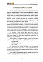 Biznesa plāns 'Biznesa plāns SIA "Natural baby"', 5.