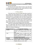 Biznesa plāns 'Biznesa plāns SIA "Natural baby"', 10.