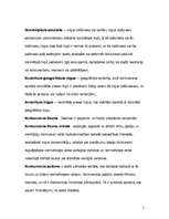 Prakses atskaite 'Ekonomiskās pētniecības darba metodoloģija', 5.