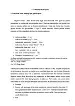 Prakses atskaite 'Baltic Beach Hotel 2006.g.', 5.