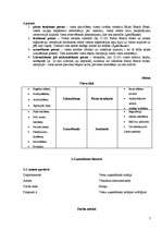 Prakses atskaite 'Baltic Beach Hotel 2006.g.', 7.