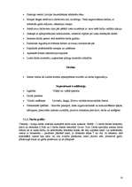 Prakses atskaite 'Baltic Beach Hotel 2006.g.', 14.