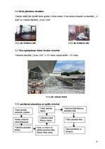 Prakses atskaite 'Baltic Beach Hotel 2006.g.', 16.