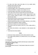 Prakses atskaite 'Baltic Beach Hotel 2006.g.', 19.