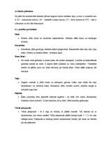 Prakses atskaite 'Baltic Beach Hotel 2006.g.', 21.