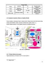 Prakses atskaite 'Baltic Beach Hotel 2006.g.', 25.