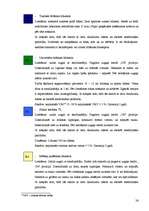 Prakses atskaite 'Baltic Beach Hotel 2006.g.', 26.