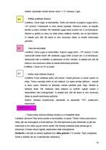 Prakses atskaite 'Baltic Beach Hotel 2006.g.', 34.