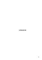 Prakses atskaite 'Baltic Beach Hotel 2006.g.', 38.