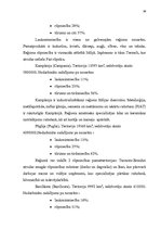 Diplomdarbs 'Latvijas un Itālijas ekonomiskās sadarbības attīstība', 41.