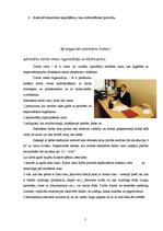 Referāts 'Sekretāres darbs', 5.