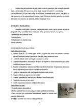 Referāts 'Sekretāres darbs', 6.