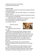 Referāts 'Sekretāres darbs', 7.