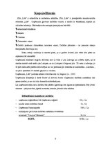 Biznesa plāns 'Biznesa plāns restorānam "Life"', 6.