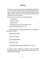 Biznesa plāns 'Biznesa plāns restorānam "Life"', 18.