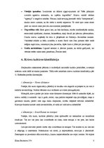 Referāts 'Krievijas biznesa kultūras analīze', 8.