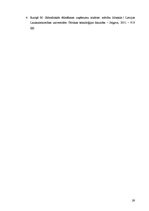 Paraugs 'Divu darbavietu - salātu gatavošanas un salātu fasēšanas telpu aprīkošana ēdināš', 29.