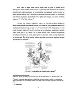 Diplomdarbs 'Sporta klubu interjera funkcionālie un konceptuālie aspekti', 40.