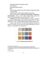 Diplomdarbs 'Sporta klubu interjera funkcionālie un konceptuālie aspekti', 67.