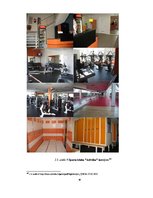 Diplomdarbs 'Sporta klubu interjera funkcionālie un konceptuālie aspekti', 89.