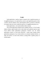 Referāts 'Valsts sociālā apdrošināšana Latvijā', 3.