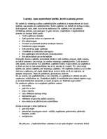 Eseja 'Uzņēmējs, viņam nepieciešamās īpašības. Latviešu uzņēmēja portrets', 1.