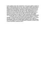 Eseja 'Uzņēmējs, viņam nepieciešamās īpašības. Latviešu uzņēmēja portrets', 2.