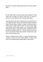 Referāts '“Mazo” valstu ārpolitikas veidošnas problēmu analīze', 9.