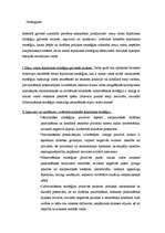 Referāts '“Mazo” valstu ārpolitikas veidošnas problēmu analīze', 13.