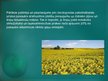 Prezentācija 'Zemes resursi', 11.