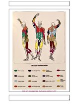 Prezentācija 'Spēka vingrinājumu tehnika', 4.