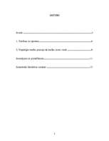 Referāts 'Tiesību principu vieta un loma tiesībās', 2.