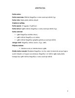 Referāts 'Mākslas fotogrāfijas virziens naratīvajā mākslā 21.gadsimtā', 2.