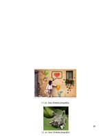 Referāts 'Mākslas fotogrāfijas virziens naratīvajā mākslā 21.gadsimtā', 24.